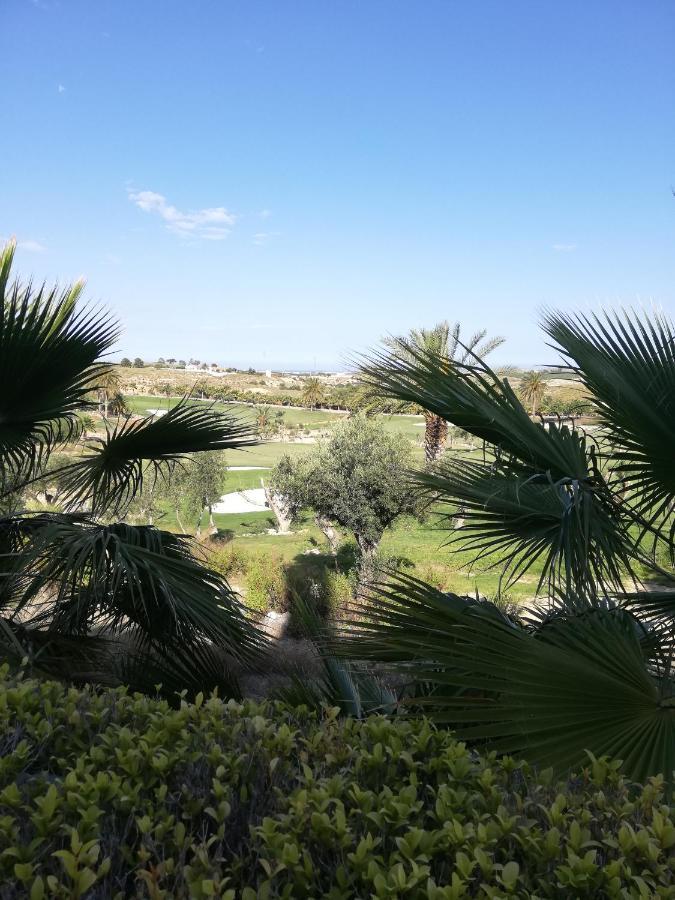 Bajo Con Jardin Propio En Valle Del Este Golf!! Vera Buitenkant foto
